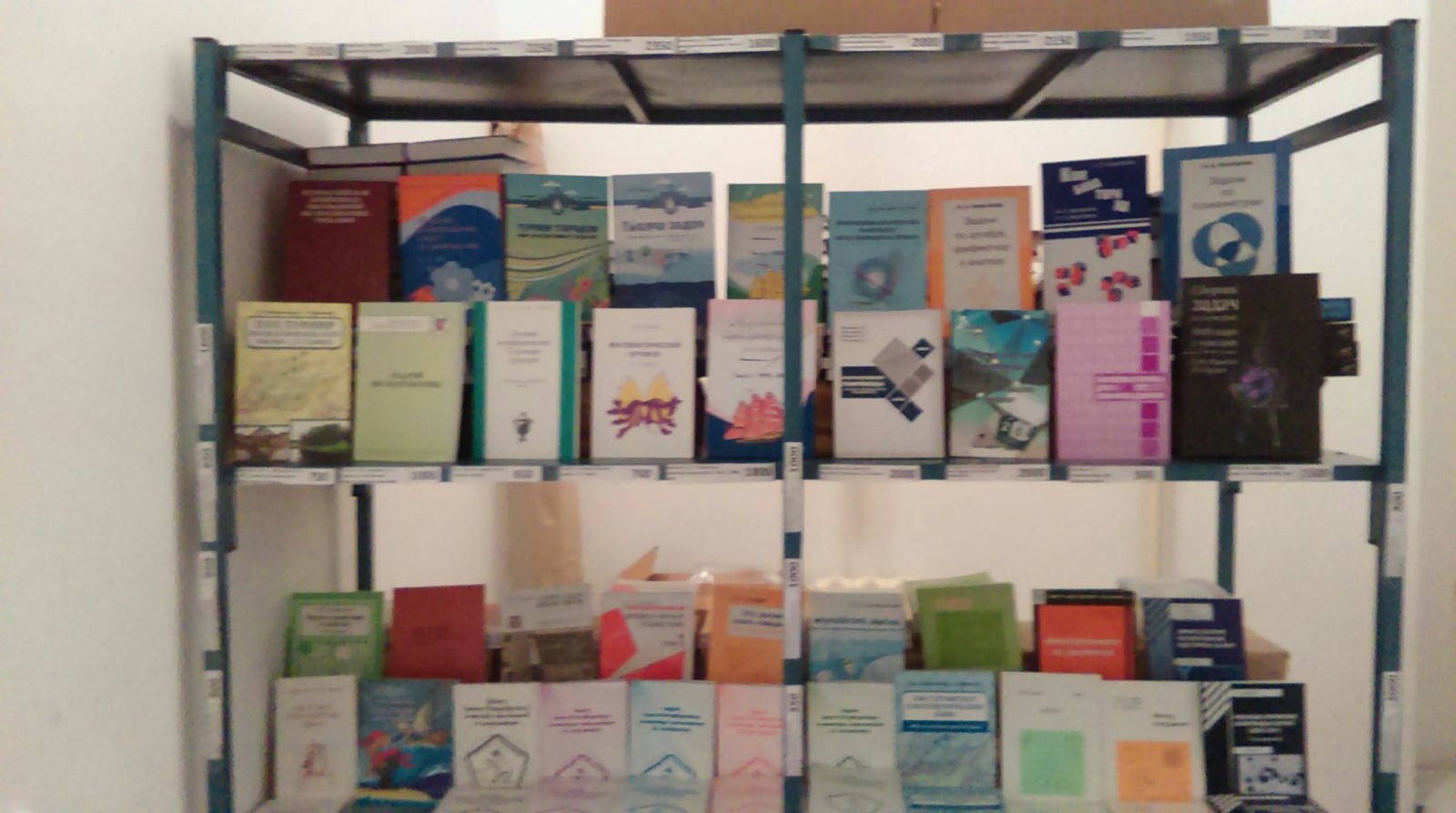 Фотография 8